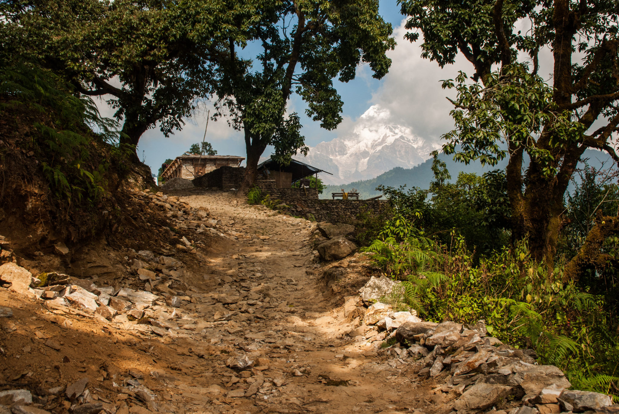 Chemin vers le sanctuaire des Annapurnas