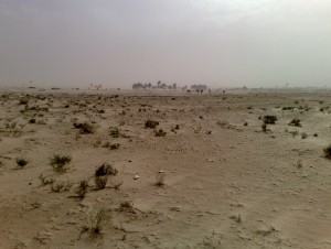Desert tunisien