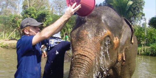Volontariat éléphants en Thailande