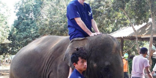 Eléphant en Thailande