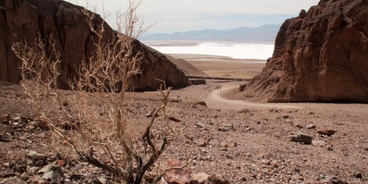 Desert dans l'ouest américain
