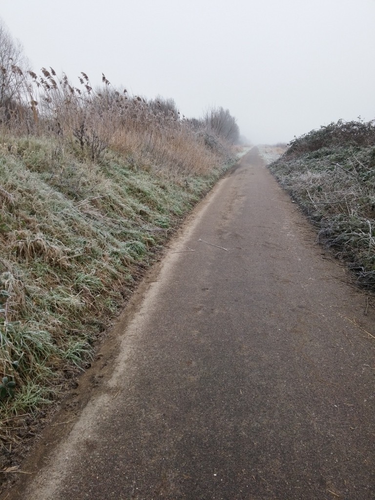 Chemin pour vélo