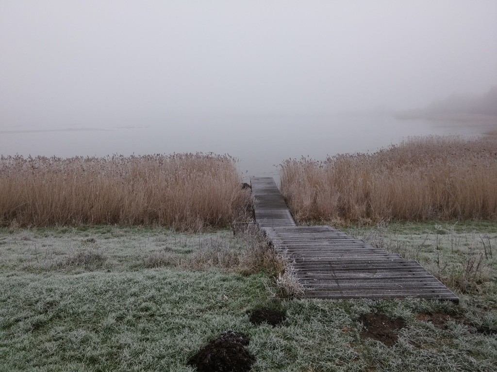 Lac près d'amsterdam