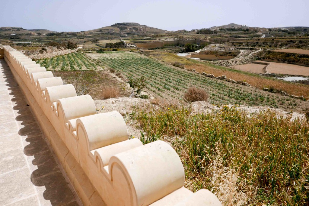 terre de gozo