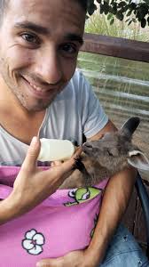 HelpX en Australie avec les kangourous