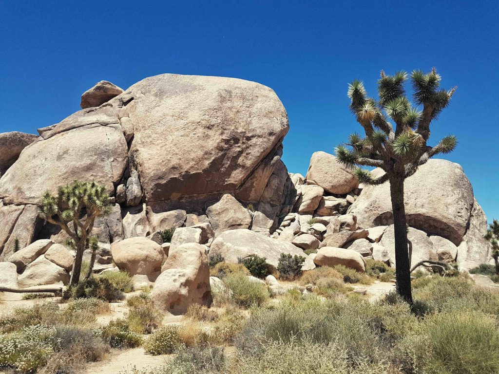 desert en californie