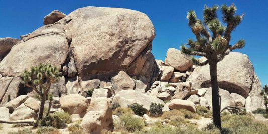 desert en californie