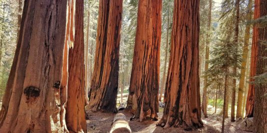 roadtrip en californie