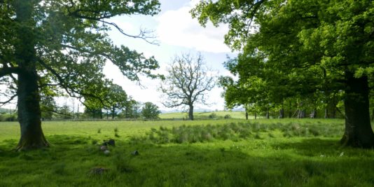 Randonnée West Highland Way en Ecosse