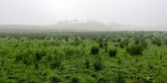Randonnée West Highland Way en Ecosse
