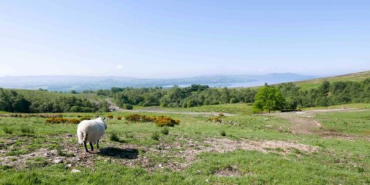 Randonnée West Highland Way en Ecosse