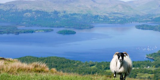 Randonnée West Highland Way en Ecosse