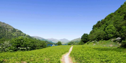 Randonnée West Highland Way en Ecosse