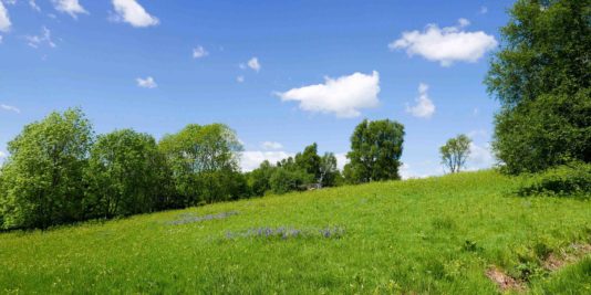 Randonnée West Highland Way en Ecosse