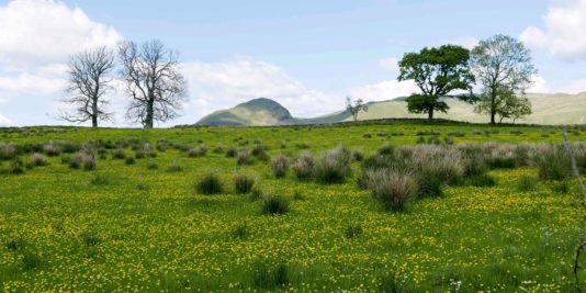 Randonnée West Highland Way en Ecosse