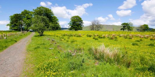 Randonnée West Highland Way en Ecosse