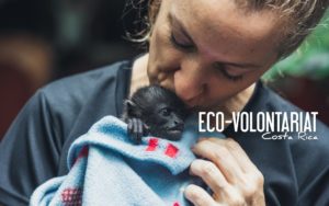 Eco-Volontariat-Costa-Rica
