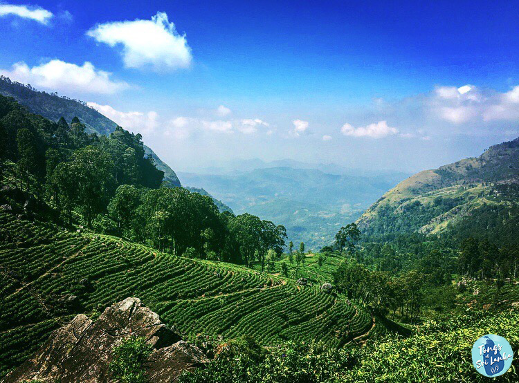 Montagnes au Sri Lanka
