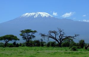 vue sur le kilimanjaro